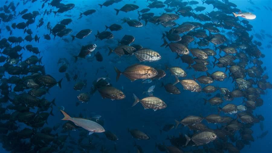 Remote Mexican Isles