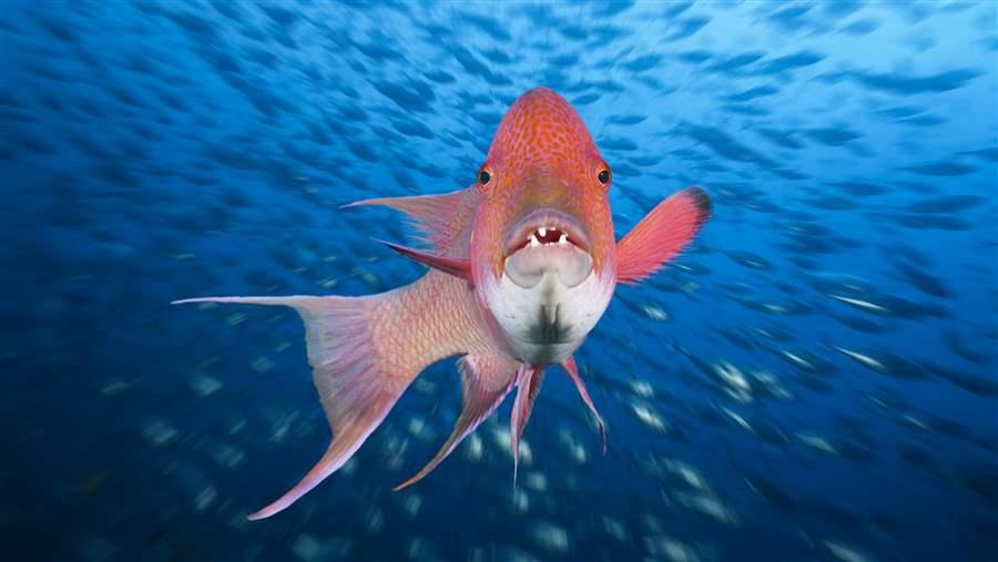 Remote Mexican Isles