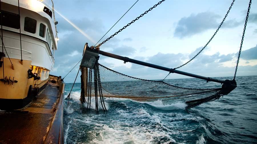Fishing nets