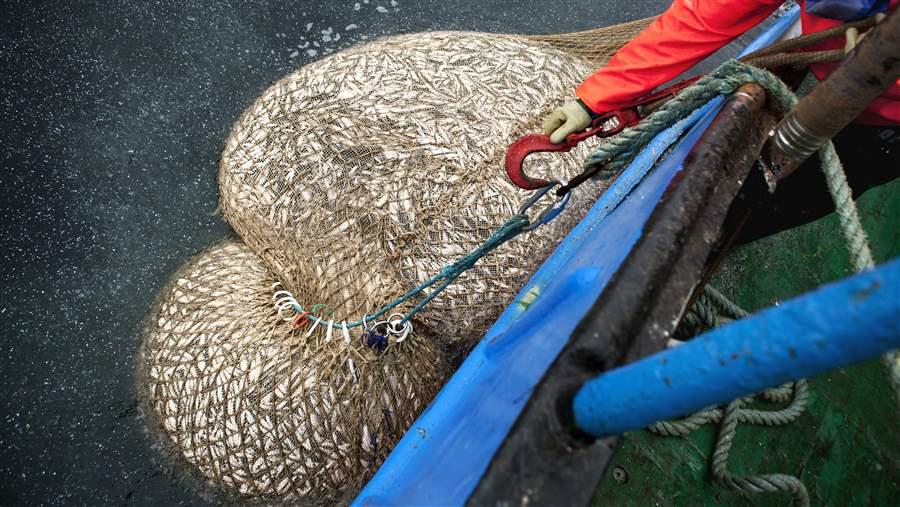 Fishing nets