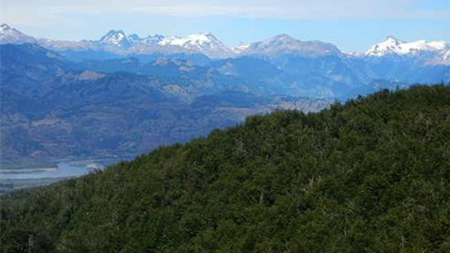Patagonia
