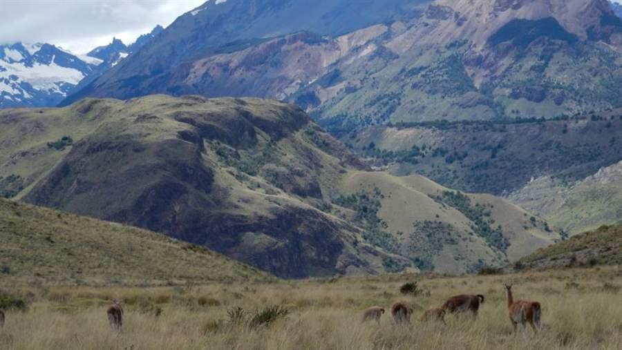 Patagonia