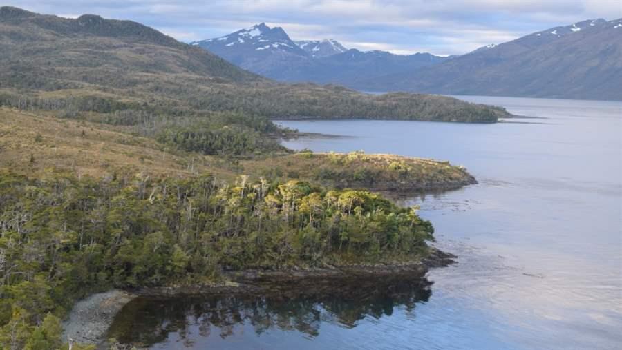 Patagonia