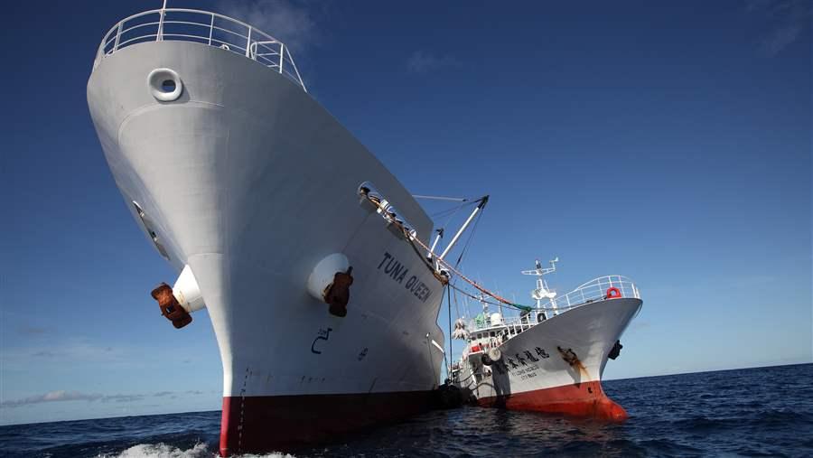 Tuna transshipment