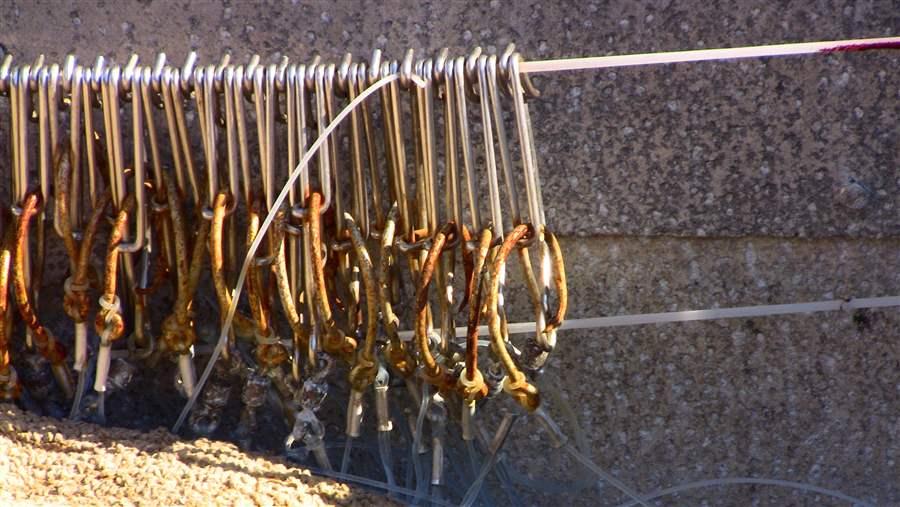 Fishing line