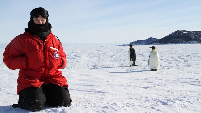 World Penguin Day