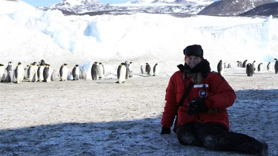 World Penguin Day
