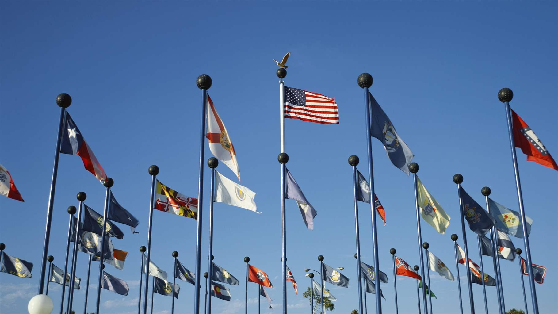 State flags