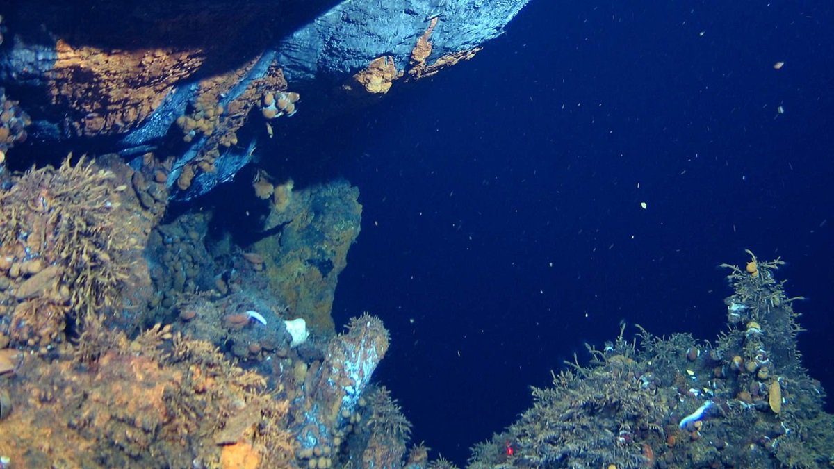 Deep-Sea Mining on Hydrothermal Vents Threatens Biodiversity | The Pew ...