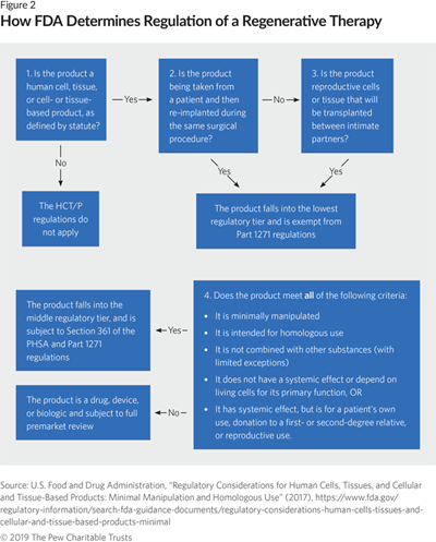 FDA’s Framework for Regulating Regenerative Medicine Will Improve ...