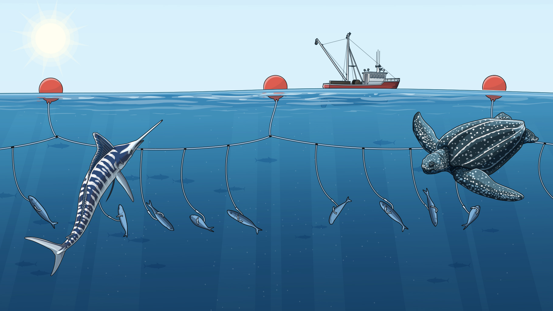 California–Don’t Take the Bait on Pelagic Longlines | The Pew ...