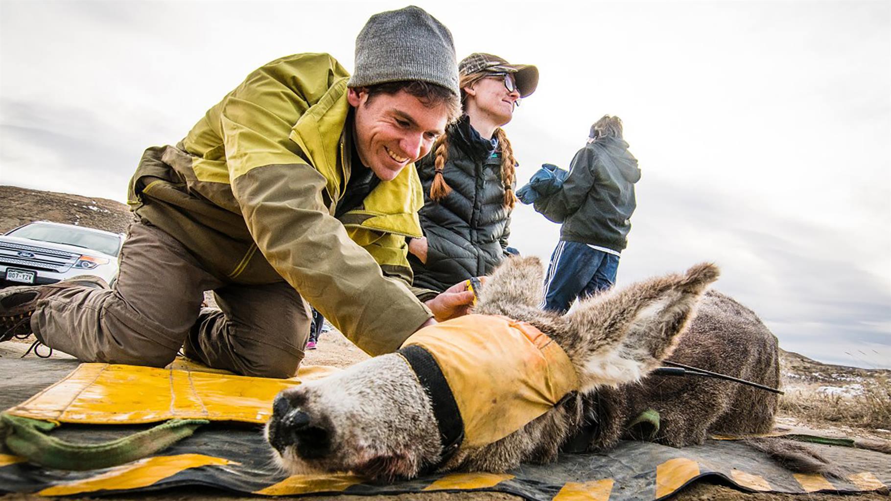 A closer look at Conservation Wildlife News