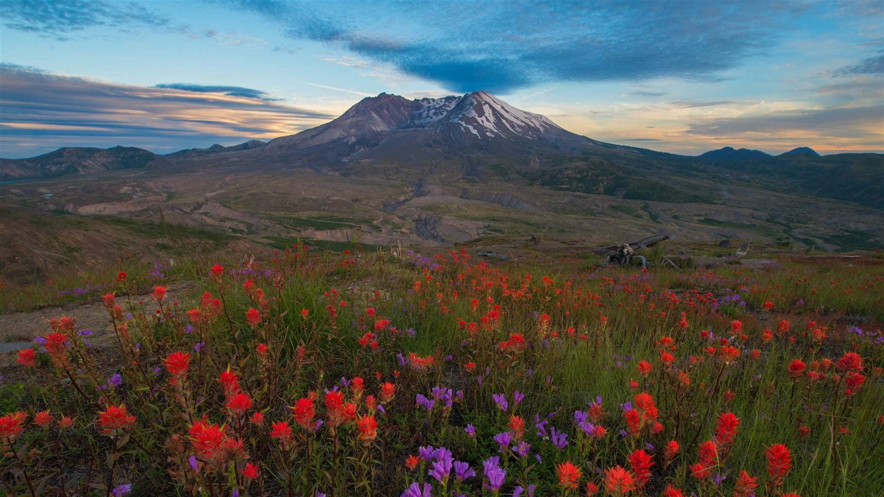 Wasatch Rivers These Washington Rivers, Vital to Communities and Wildlife, Merit ...