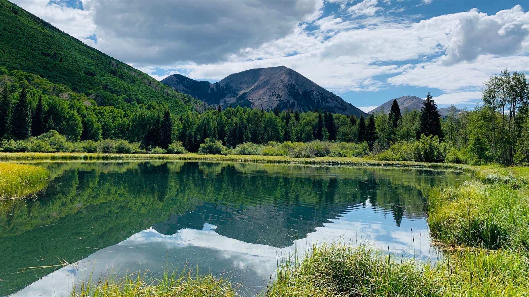 Study Finds Ecologically Valuable—but Vulnerable—Areas in Utah National ...