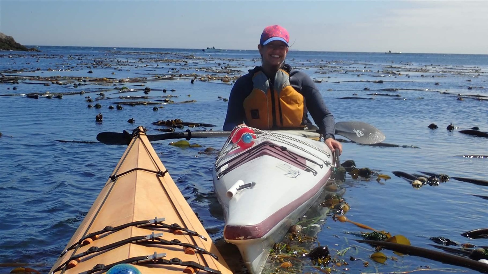 In San Juan Islands, Coalition Works to Reverse Eelgrass Declines | The ...