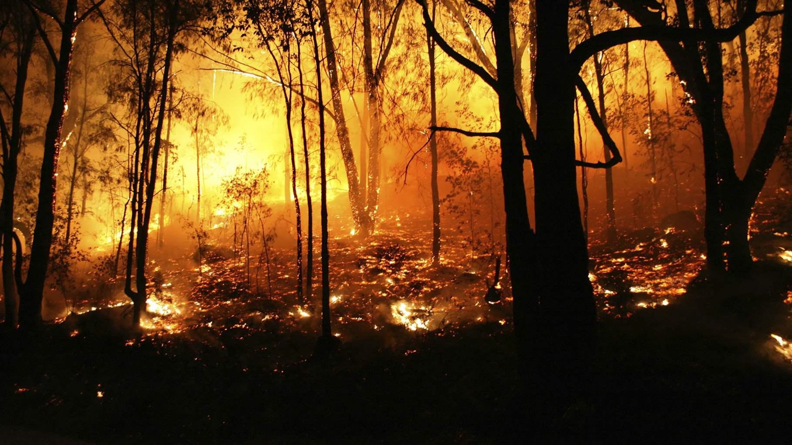 Wildfires: Burning Through State Budgets | The Pew Charitable Trusts