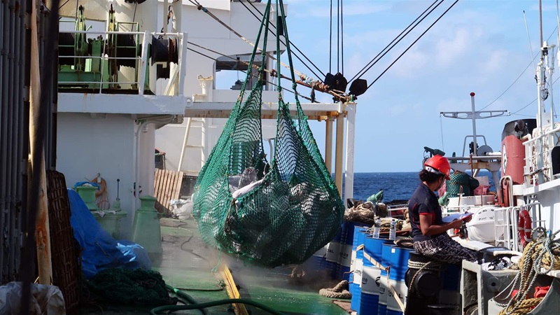 Most Global At-Sea Transshipment Involves a Small Group of Key Carriers ...