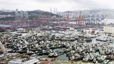 Fishing vessels, many with dark hulls with white wheelhouses, crowd together on a cloudy, gray day at the port of Busan, South Korea. Thousands of blue and red cargo boxes are stacked behind the ships, with large blue and red lifts. Skyscrapers and the hills of the city are seen in the distance.