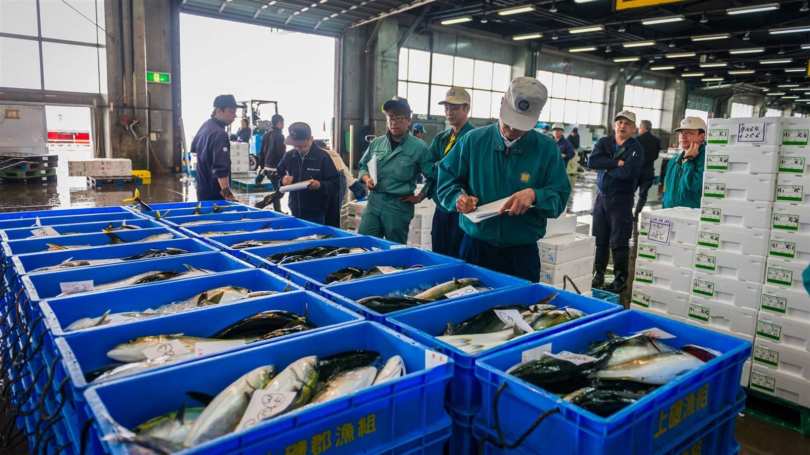 Fish Distributor Fisheries Managers Can Limit Risk in the Seafood Supply Chain | The Pew ...