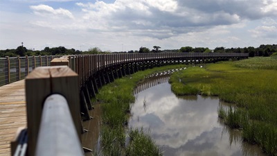 A wooden-decked walkway with a metal railing curves gently through a wetland area. Trees are visible in the distance, and low clouds hover above.