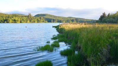 The blue water of an estuary flows along an embankment covered in green foliage. Low hills rise on the far shore.
