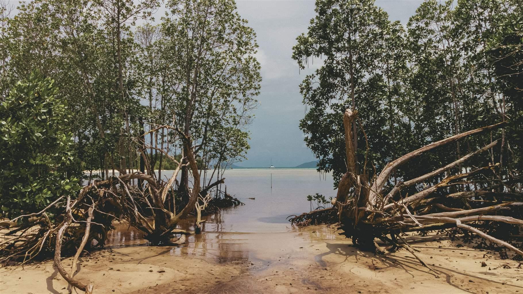 3 Ways World Leaders Should Step Up to Protect Biodiversity