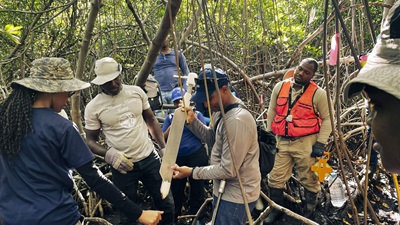 Jamaica’s New Climate Commitments Recognize Conservation Value of Coastal Wetlands – The Pew Charitable Trusts