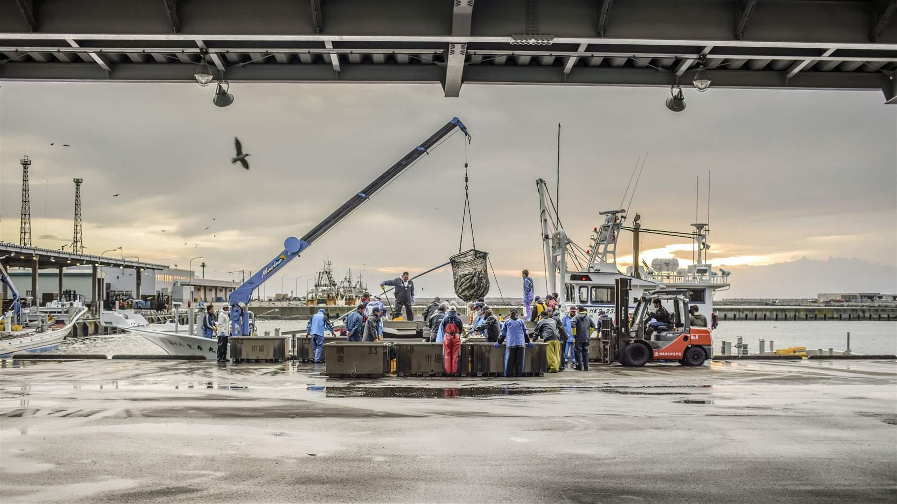 Four Ways to Deter Illegal, Unreported and Unregulated Fishing in the Western and Central Pacific Ocean – The Pew Charitable Trusts