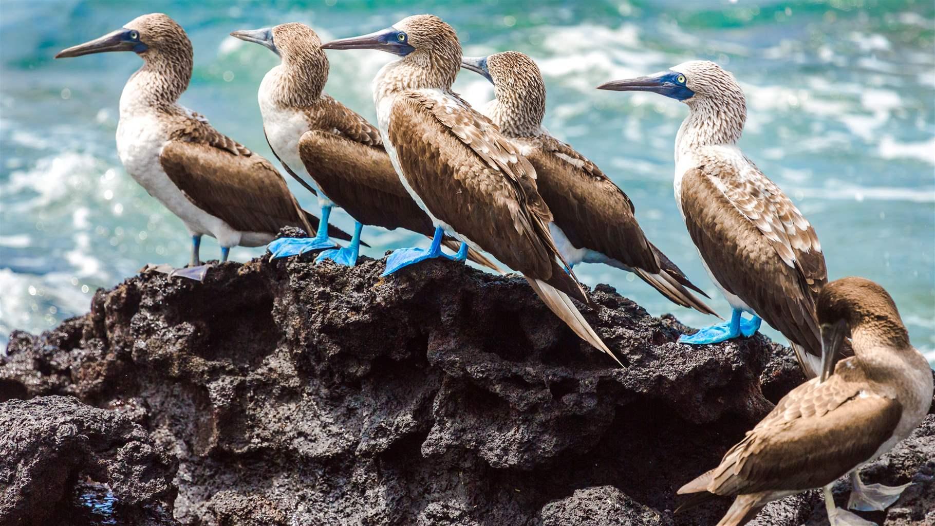 Debt Conversions, a Key Piece of the Climate Finance Puzzle