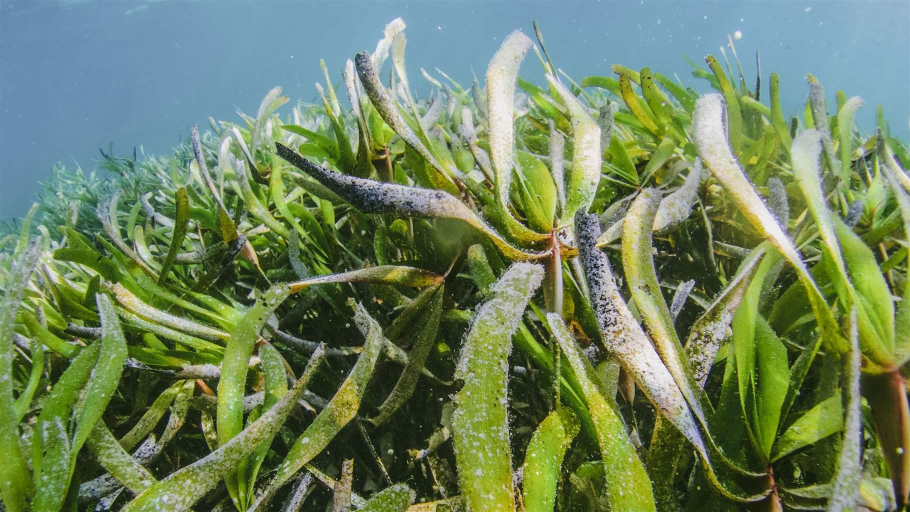 How Climate Commitments Can Strengthen Coastal Communities