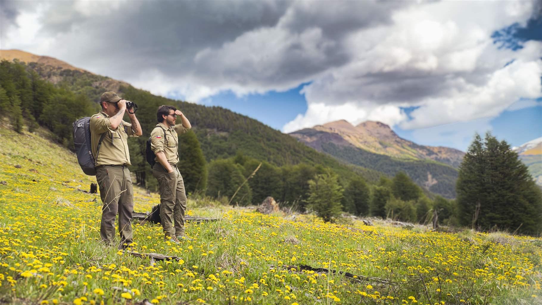A Key Moment of Opportunity for Chile’s Protected Areas