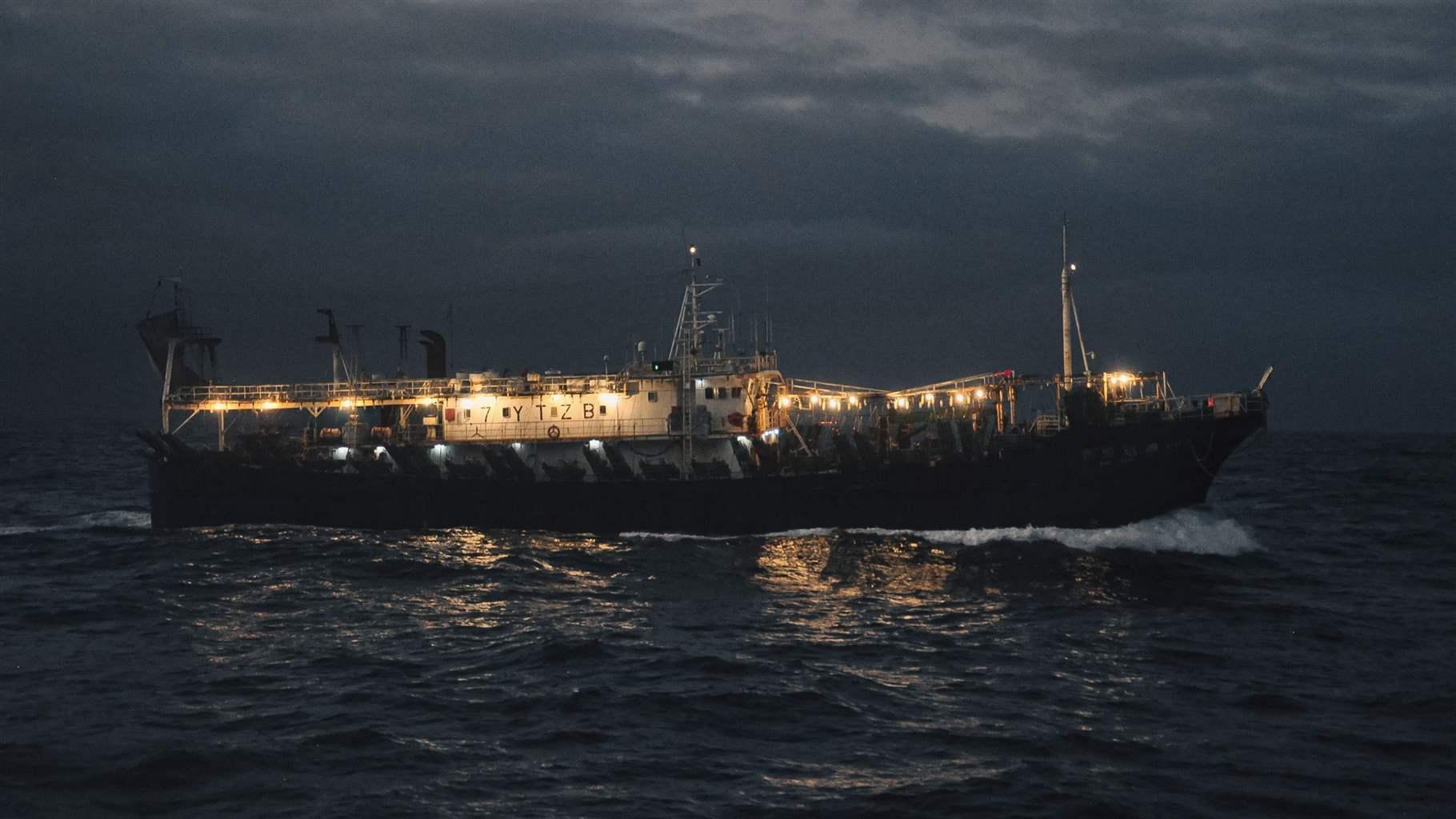 Poorly Regulated Squid Fisheries Jeopardize Ocean Health