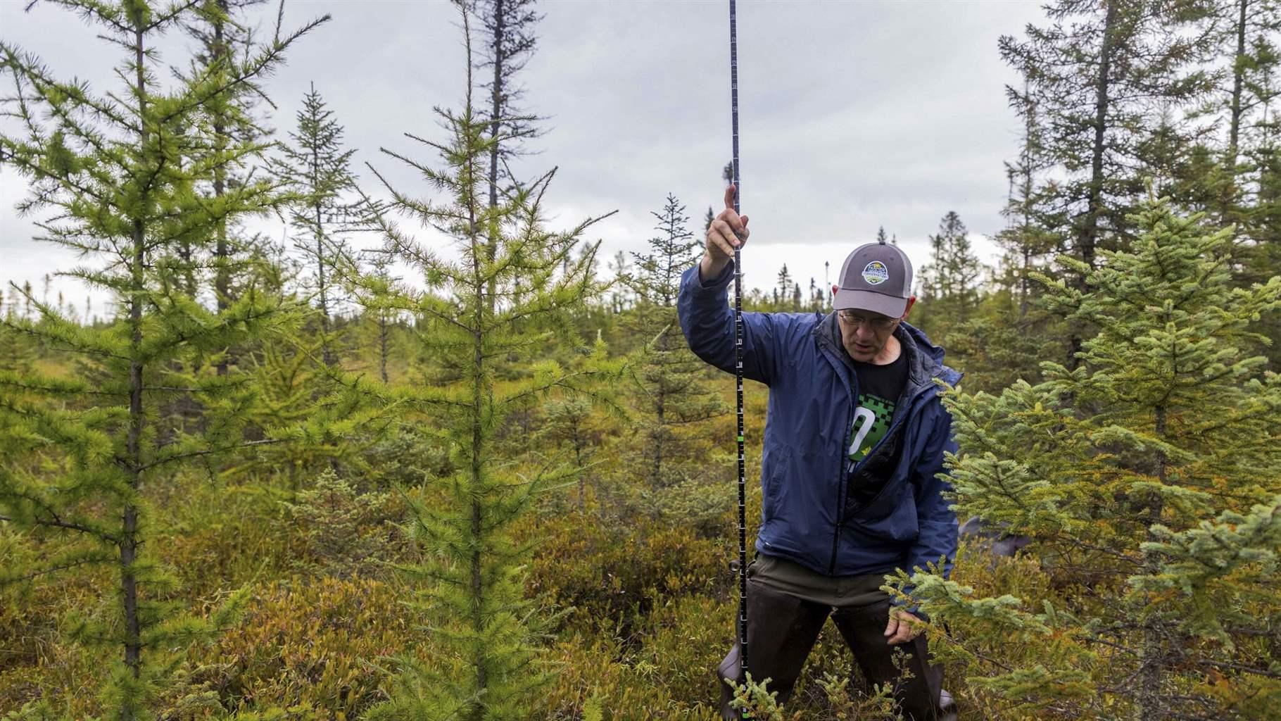 Peatlands Are Nature’s Hidden Ally