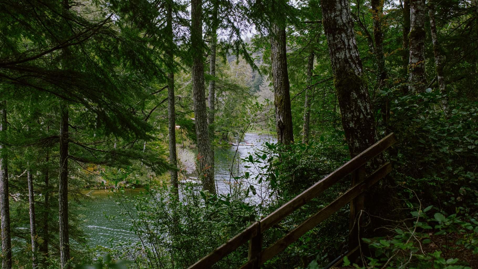 Pew Commends Addition of Wetlands in Oregon Carbon Inventory