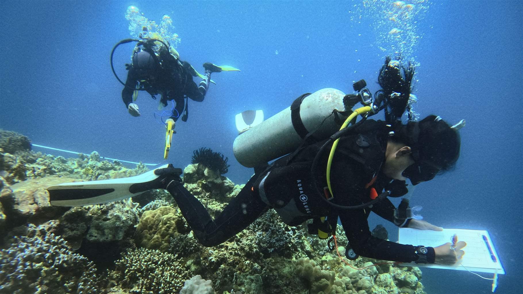 Scientist Works to Protect Climate-Resilient Coral Reefs in the Philippines