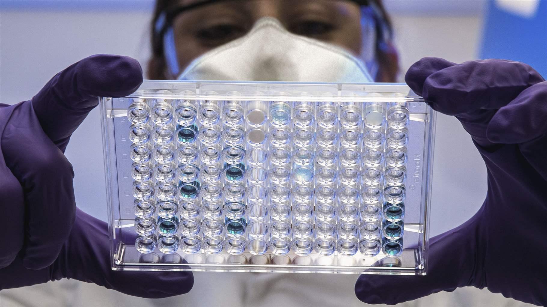 Where in the World Are Pew’s Latin American Fellows?