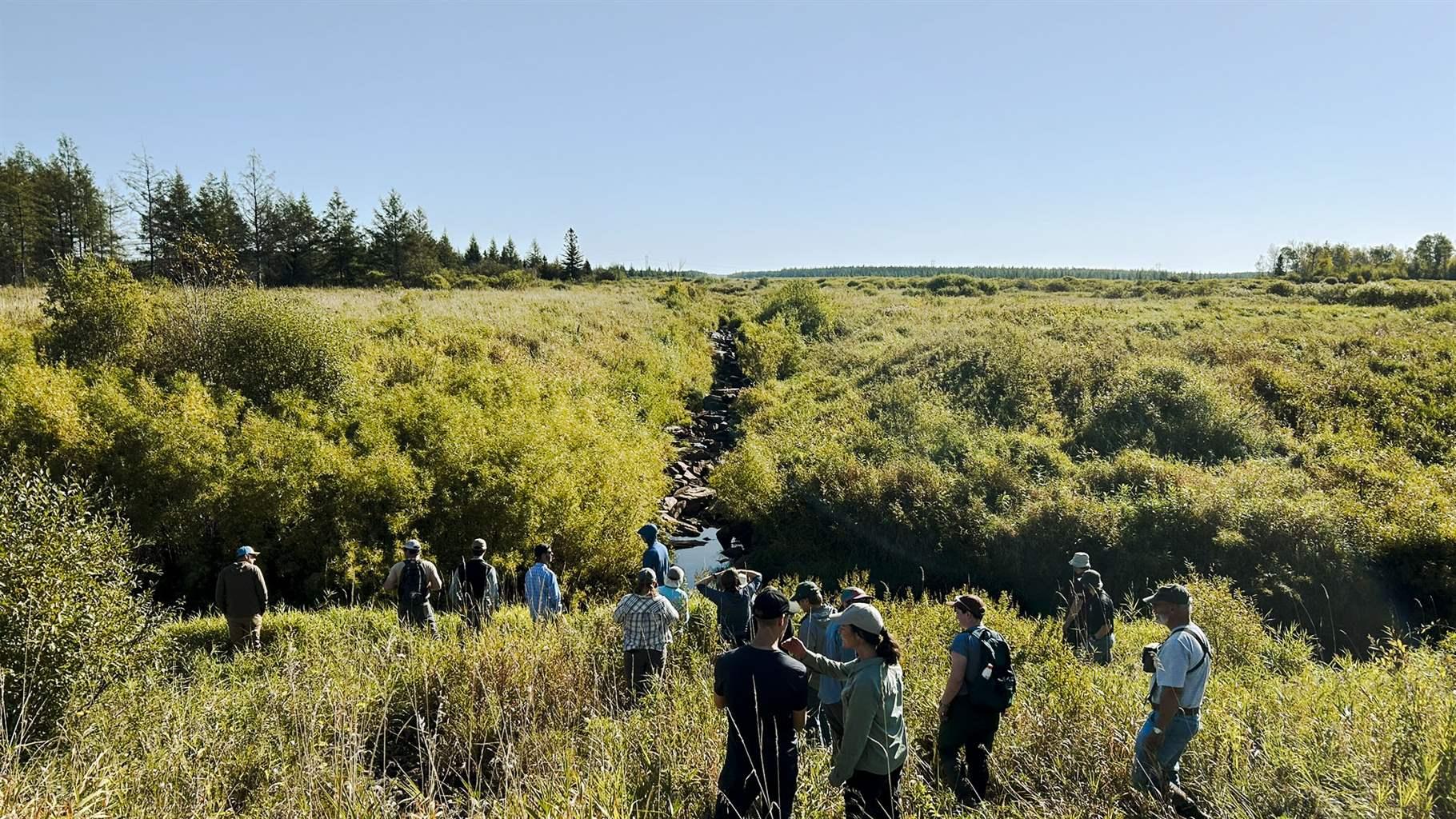 Minnesota’s Climate Goals Rely on Nature-Based Action