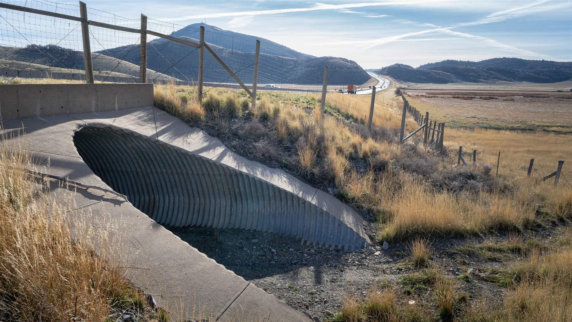 Pew Applauds Utah for Enacting a Historic Wildlife Crossings Fund