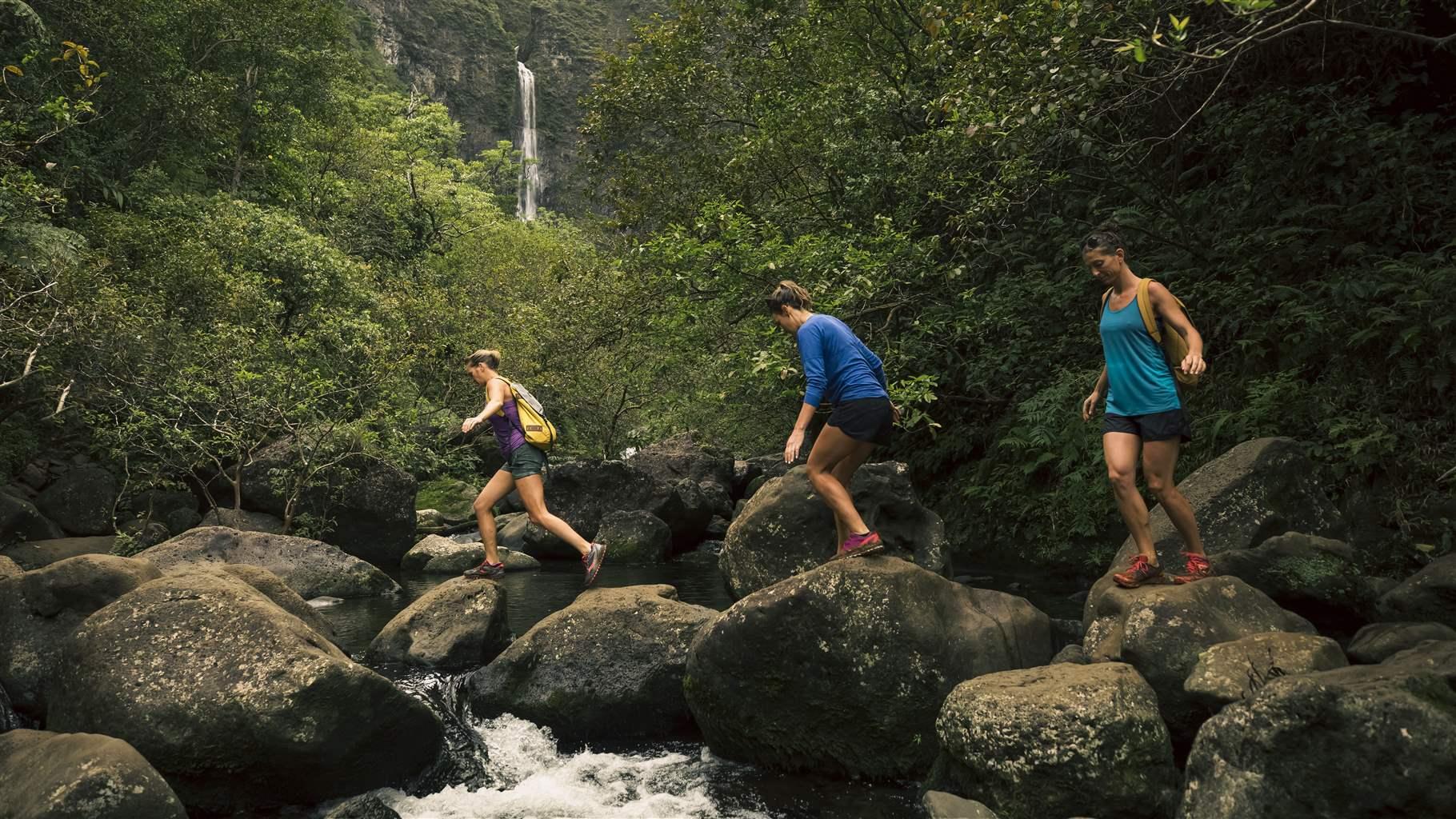 “Data Is at the Heart of What Public Health Does”