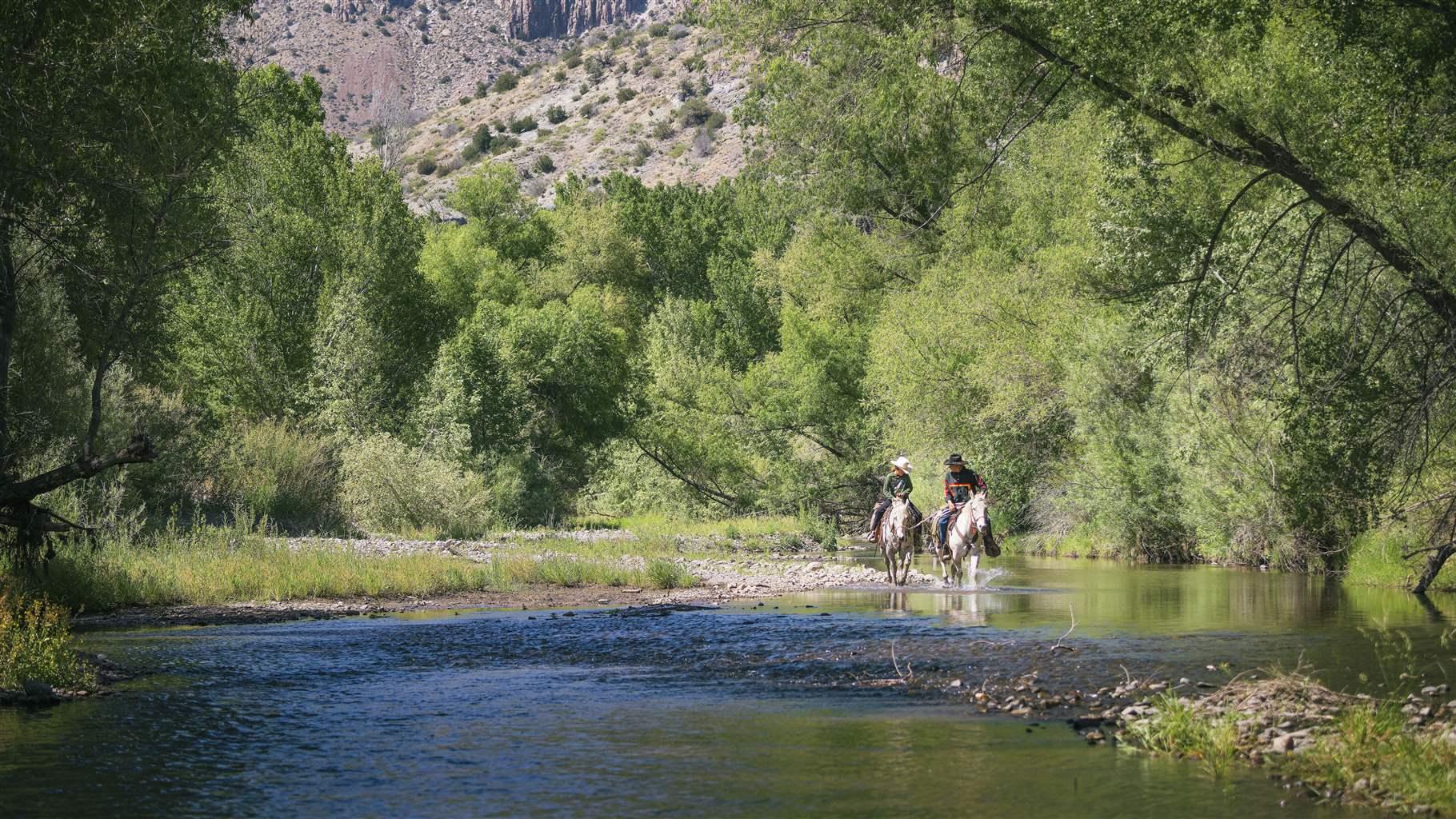 Pew Applauds New Mexico’s Funding for Critical Water Programs