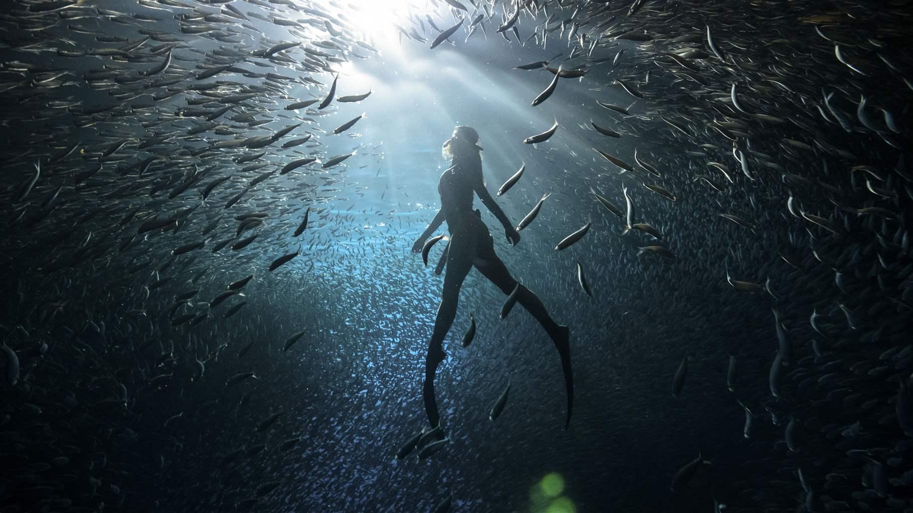 5 Reasons to Celebrate Conservation on Earth Day