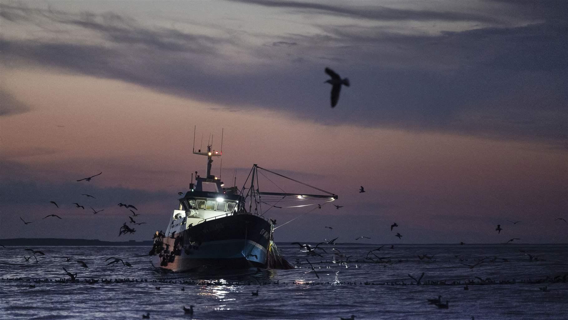 EU Can Curb Illegal Fishing by Closing Registration Loopholes