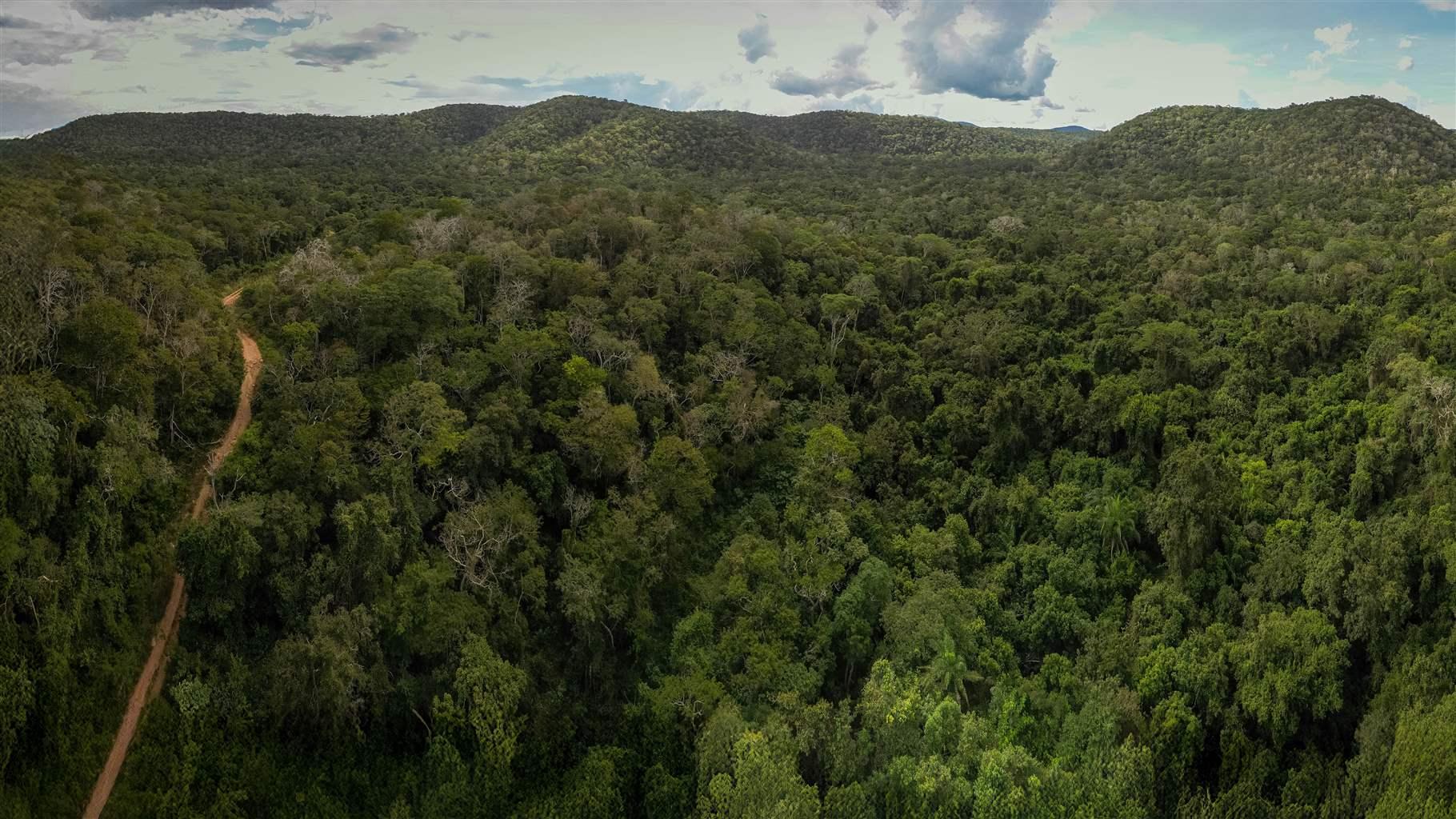 Bolivia Expands Protected Areas Across the Pantanal