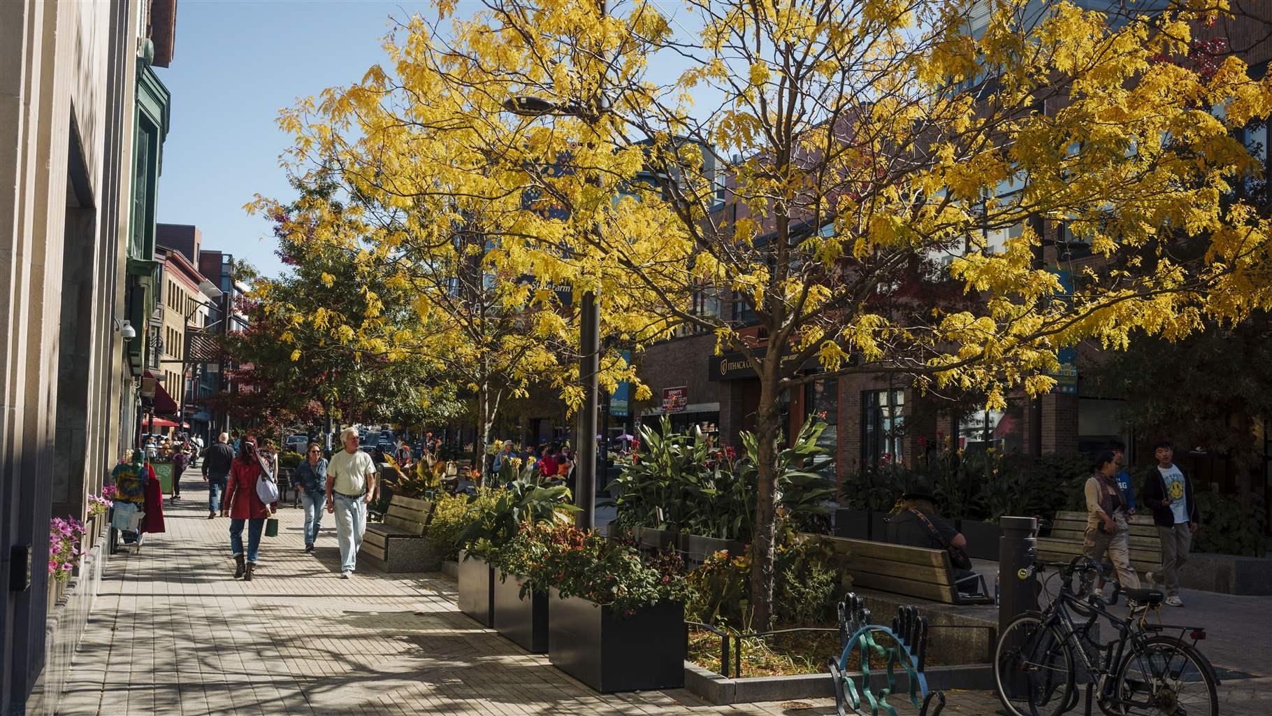 New WRI & ECOnorthwest Study Reveals Key Insights on Sustainable Urban Development