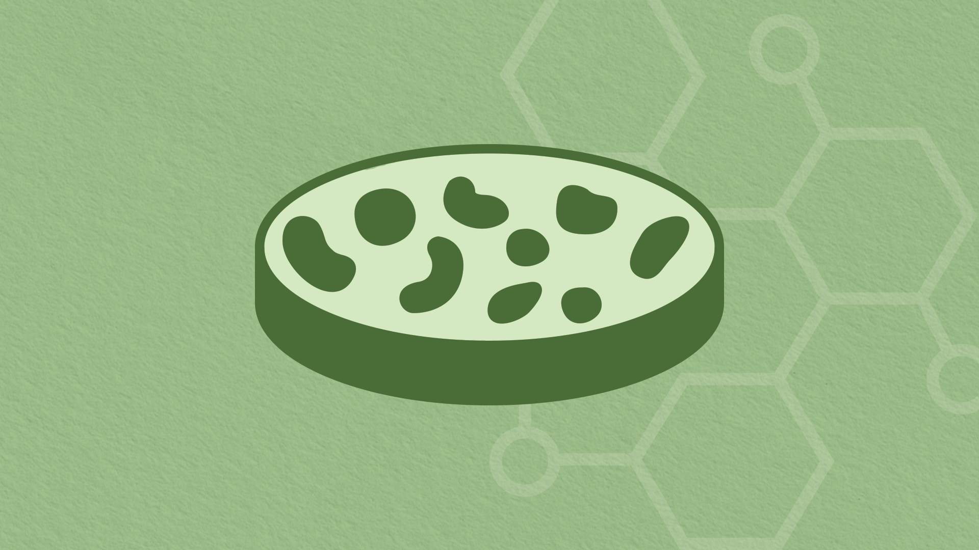 Pew Supports 10 Leading Latin American Scientists
