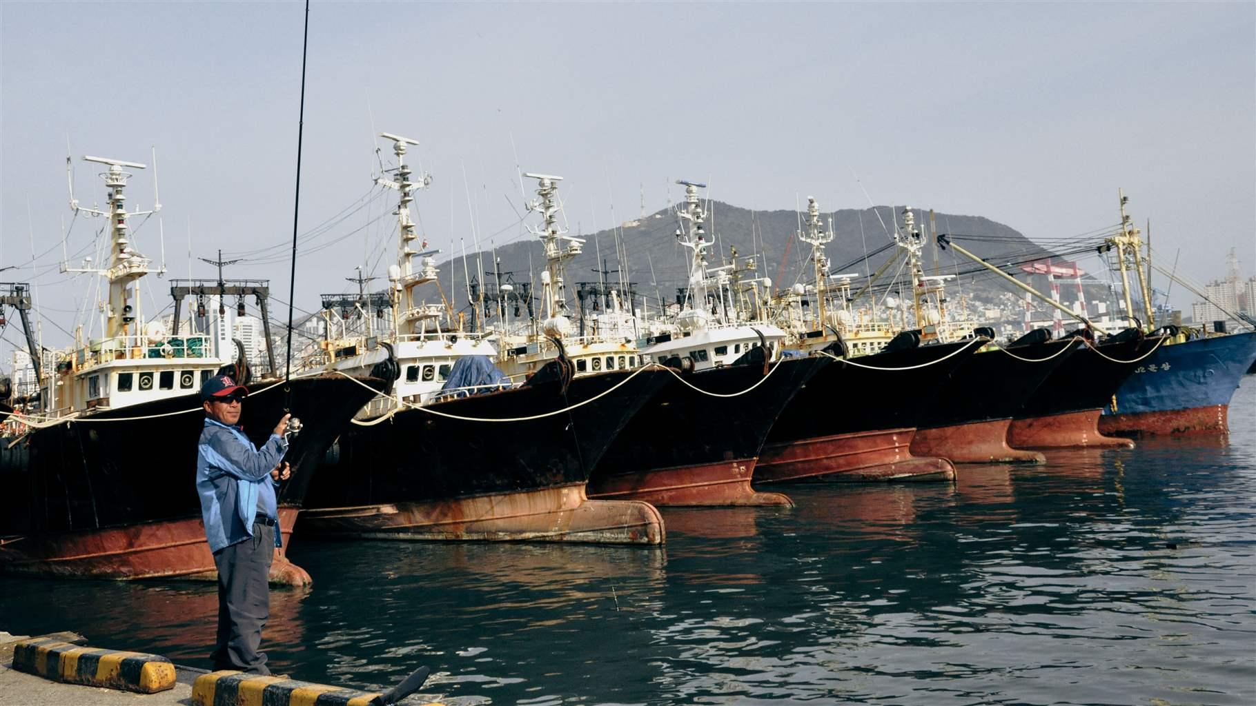 1 Global Treaty Has Helped Fight Illegal Fishing for a Decade