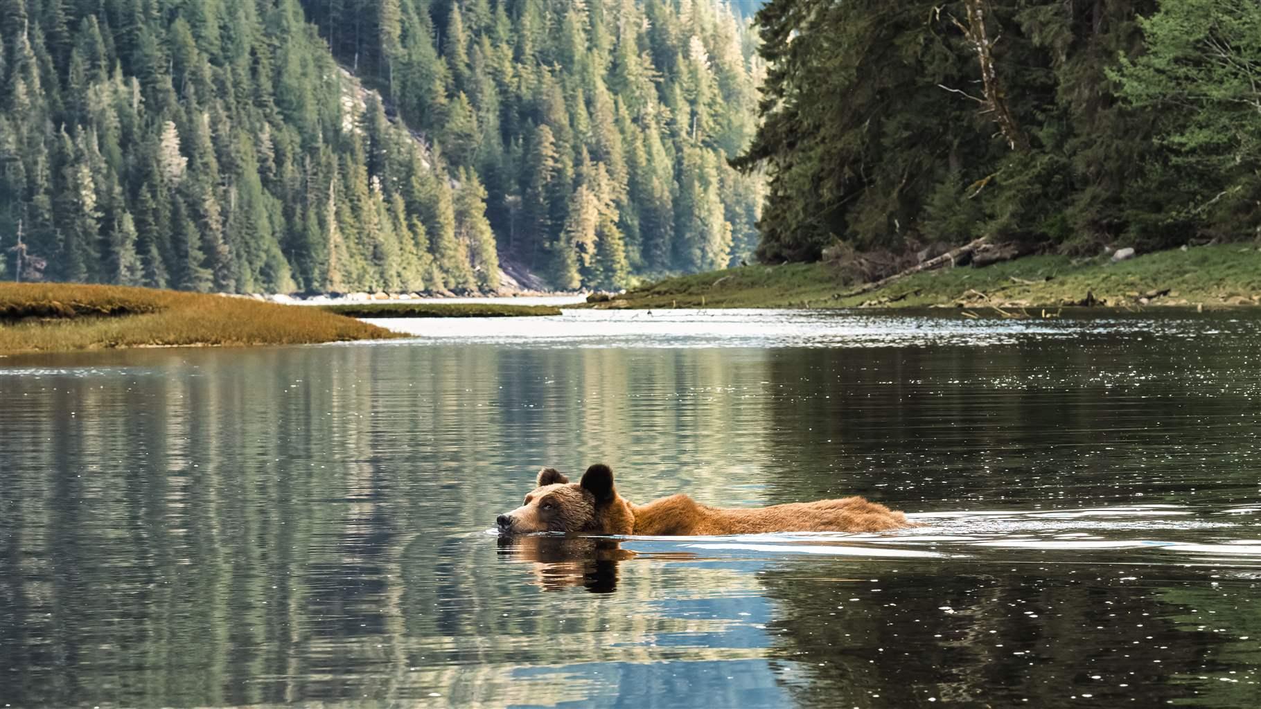 Canada’s Conservation Strategy Is Opportunity for Innovation