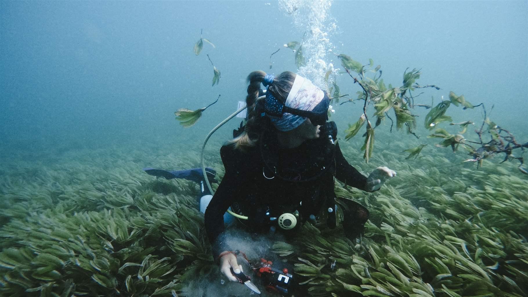 Science Is Turning the Tide for the Global Ocean