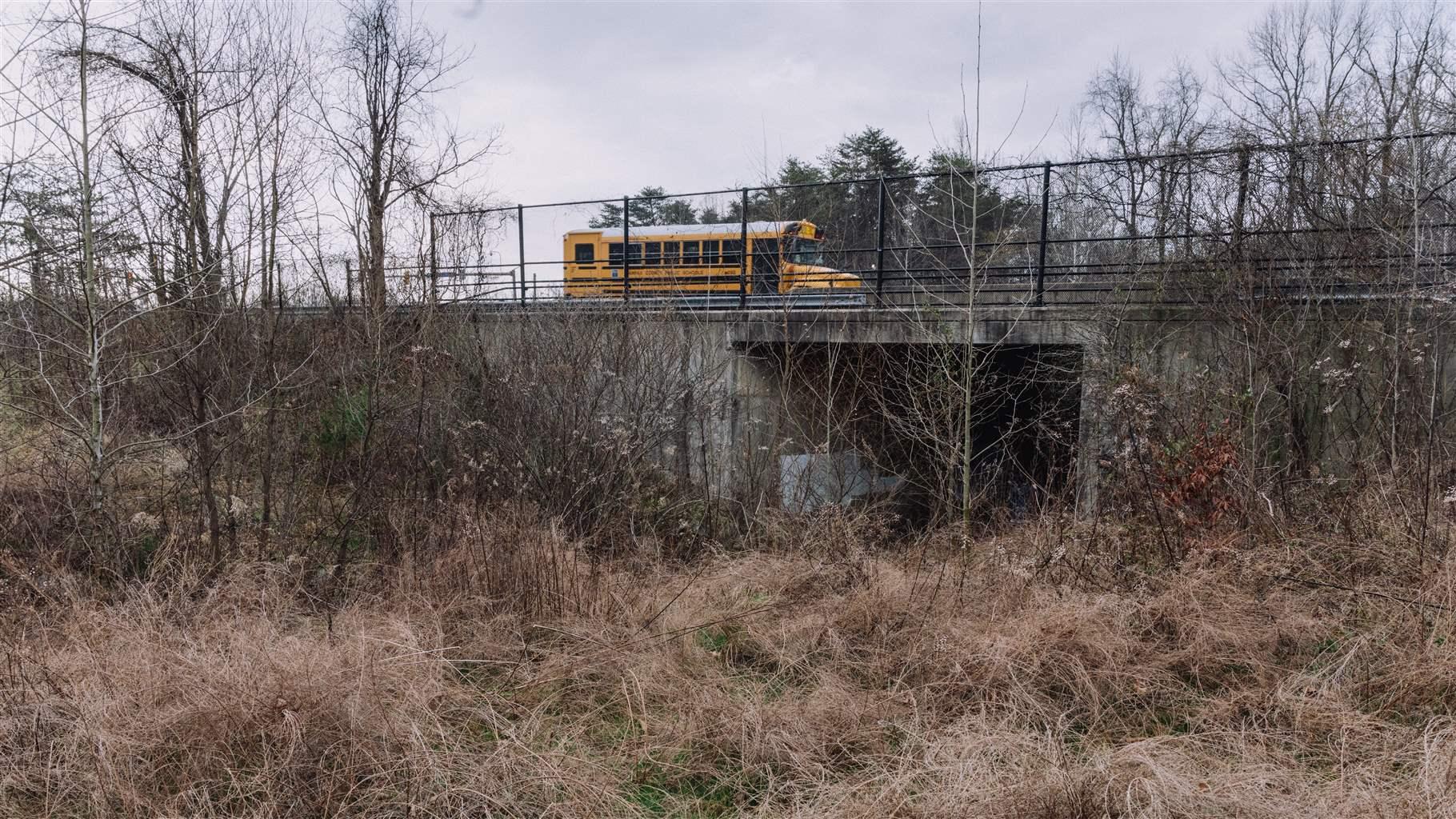 5 Myths About Wildlife Crossings in the Southeast