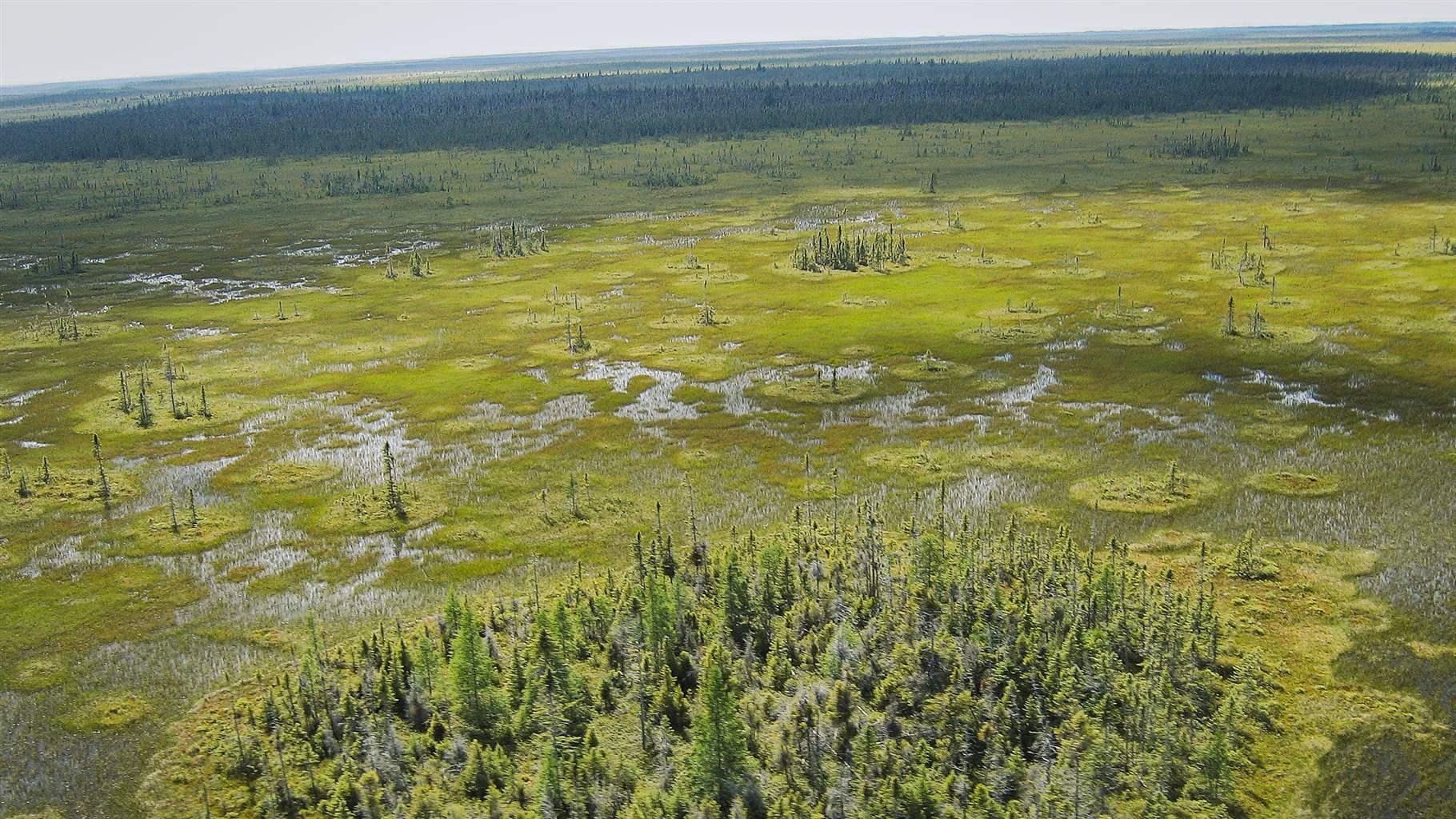 Why Mapping Peatlands Matters for Water and the Climate | The Pew ...